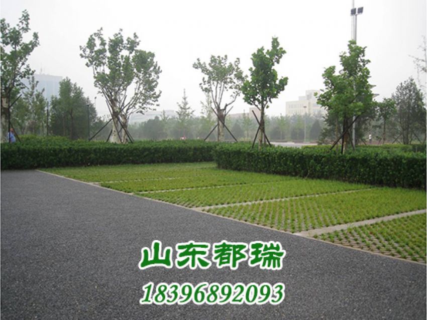 高承載植草停車(chē)坪