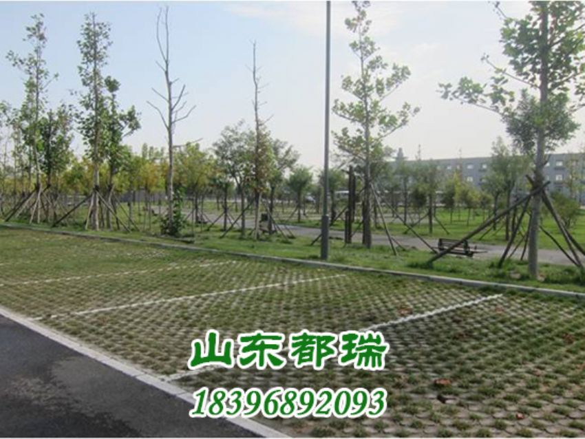 高承載植草停車(chē)坪