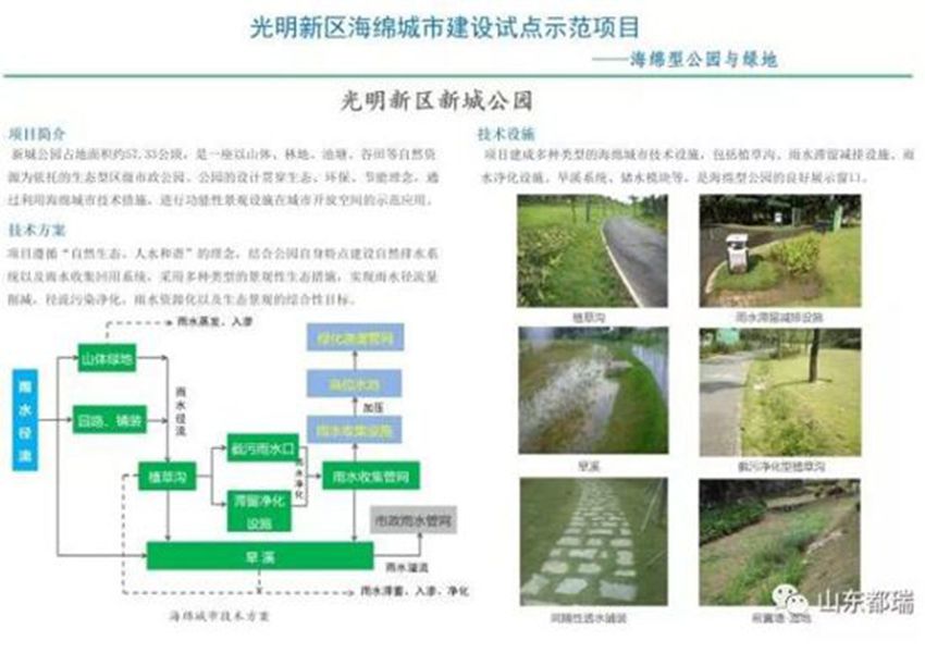 如何理解「海綿城市」的概念？